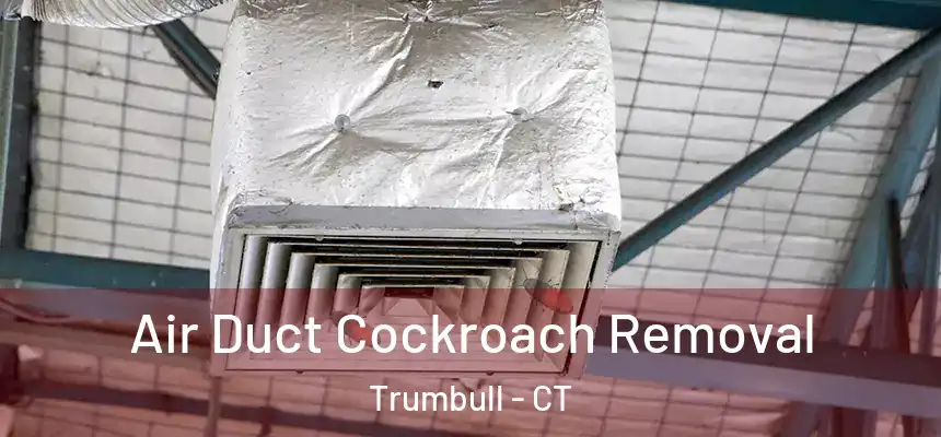  Air Duct Cockroach Removal Trumbull - CT
