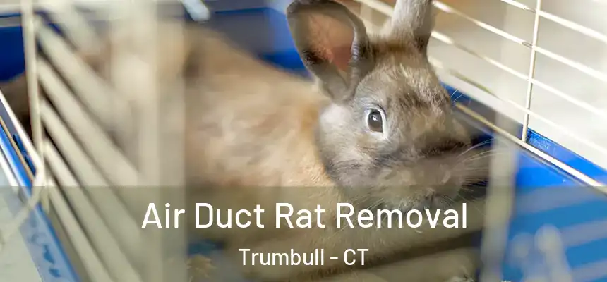  Air Duct Rat Removal Trumbull - CT