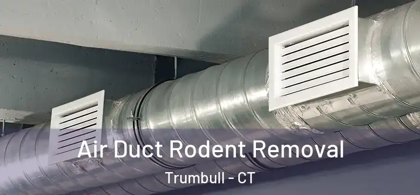 Air Duct Rodent Removal Trumbull - CT