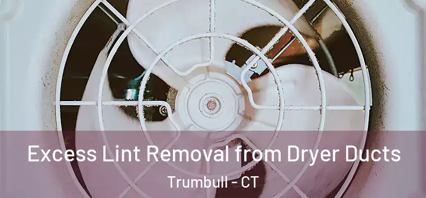 Excess Lint Removal from Dryer Ducts Trumbull - CT
