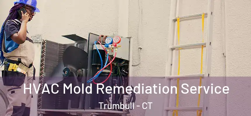 HVAC Mold Remediation Service Trumbull - CT
