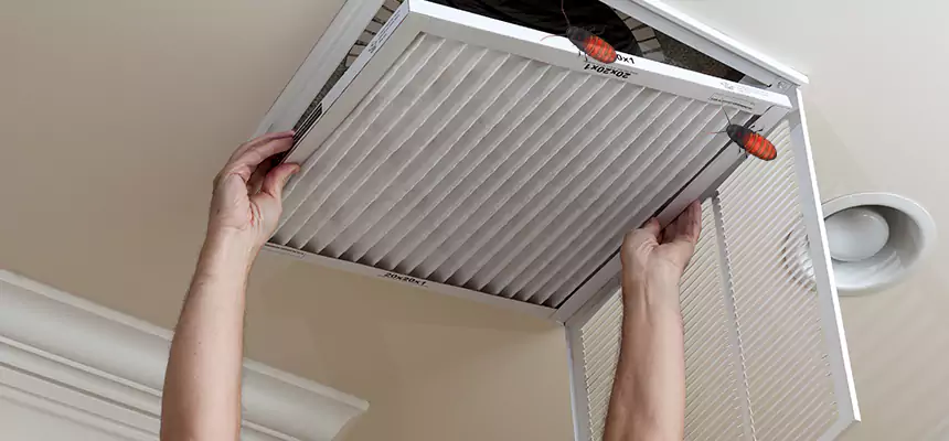 Preventive Cockroach-Proofing for Ducts in Trumbull