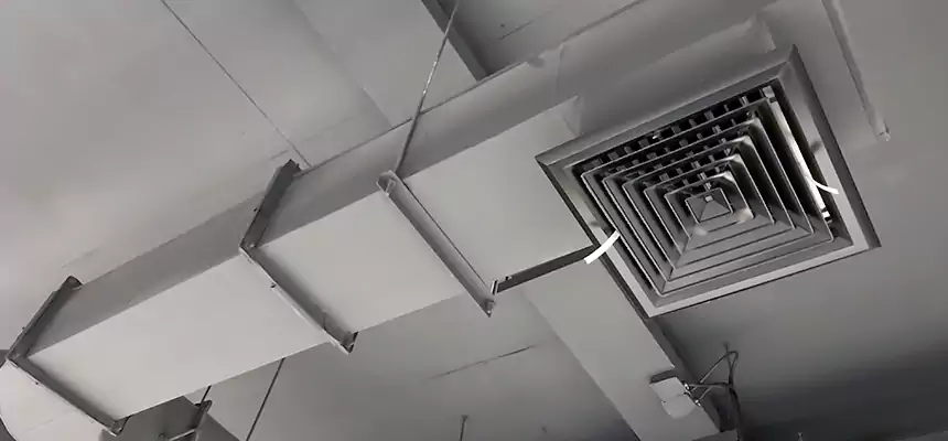 Our Pest Removal From Ducts Services in Trumbull, CT