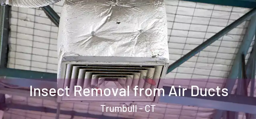  Insect Removal from Air Ducts Trumbull - CT