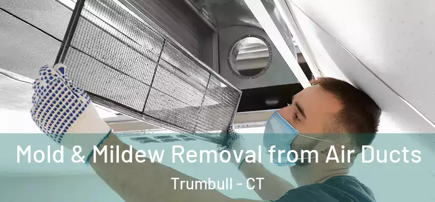 Mold & Mildew Removal from Air Ducts Trumbull - CT