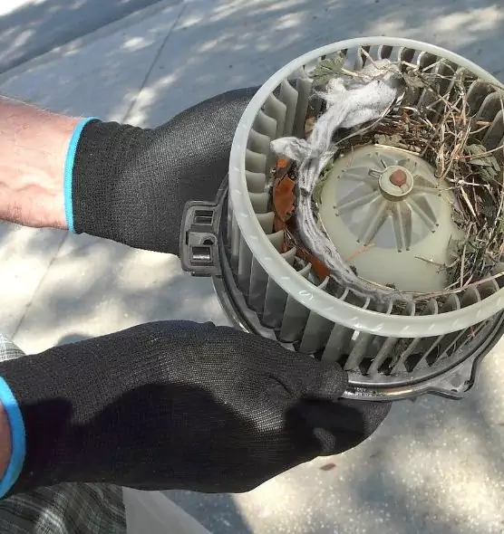 About Air Duct Rat Removal in Trumbull, CT