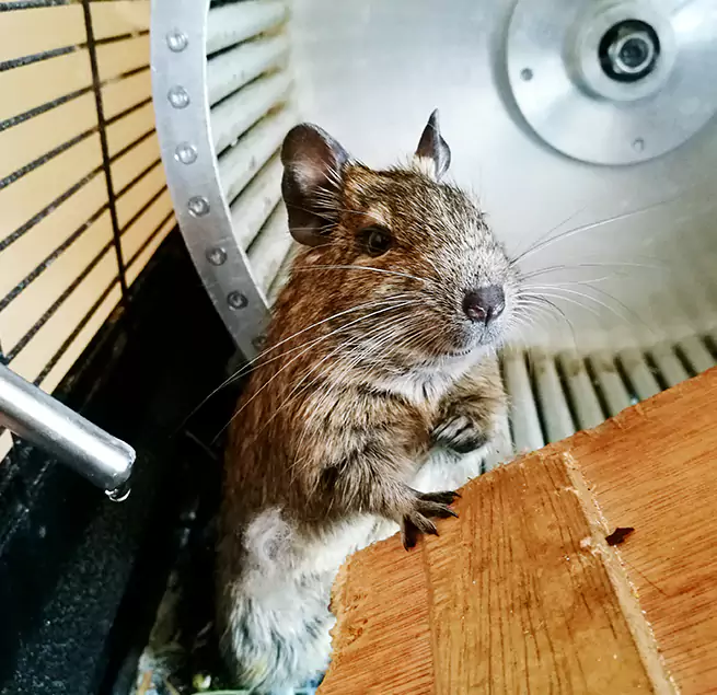 Why Homeowners & Businesses Trust Us Trumbull, CT