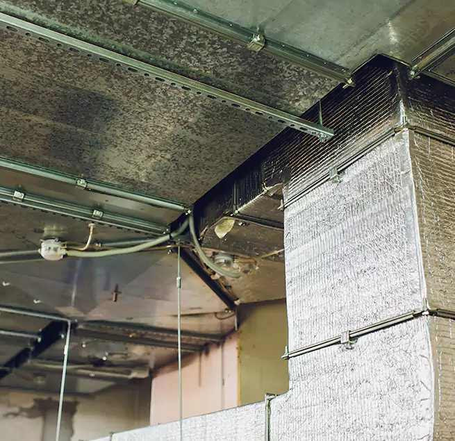 Why Homeowners & Businesses Trust Us in Trumbull, CT?